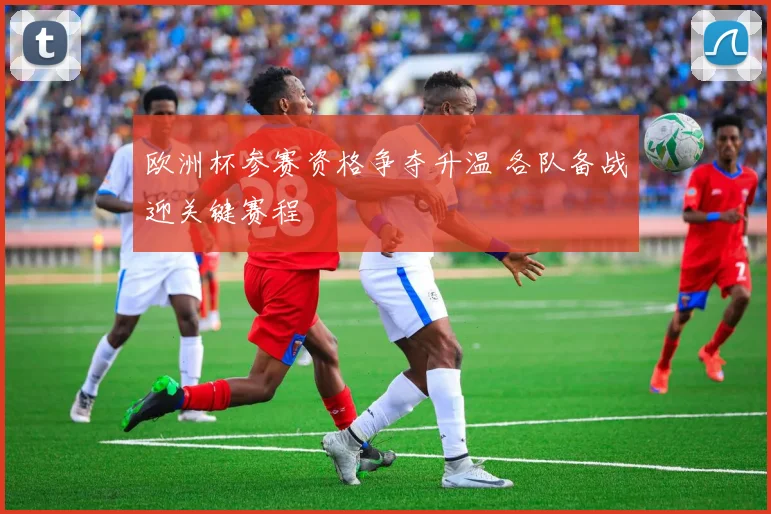 欧洲杯参赛资格争夺升温 各队备战迎关键赛程